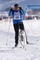 Lenk 2013